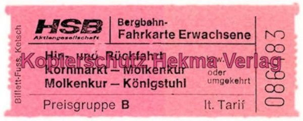 Heidelberg Bergbahn - Fahrkarte für Erwachsene