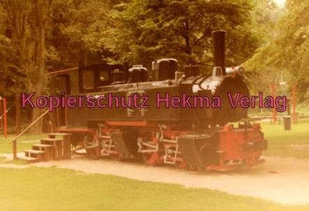 Karlsruhe Straßenbahn - Rheinstrandbad Rappenwört - Denkmallok - 2