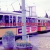 Stuttgart Straßenbahn - BDEF e.V. Tagung in Stuttgart - Zweiwagenzug - Bild 1