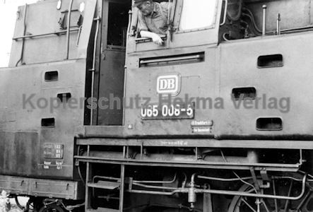Darmstadt Eisenbahn - Bahnbetriebswerk - Lok 065 008-5
