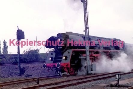 Frankfurt Eisenbahn - Lokschau - Hafengelände Hanauer Landstr. - Lok 01 514