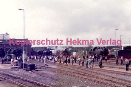 Frankfurt Eisenbahn - Lokschau - Hafengelände Hanauer Landstr. - Übersicht