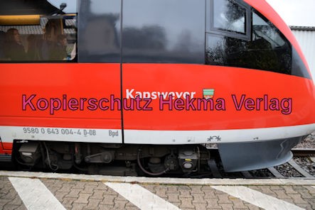 Edesheim Eisenbahn - Bahnhof Edesheim - Zug Kapsweyer 643 004