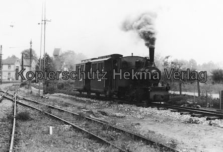 Viernheim Rhein-Neckar DGEG Eisenbahnmuseum - Schmalspurlok (600 mm)
