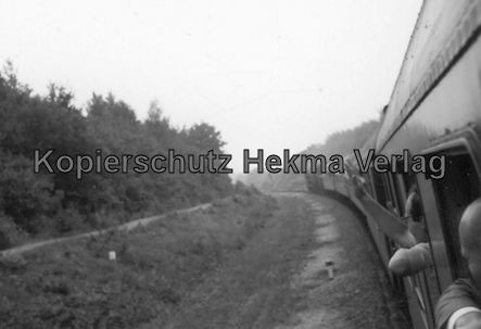 Rheingoldzug von Düsseldorf nach Arnheim - Bahnhof Nijmegen