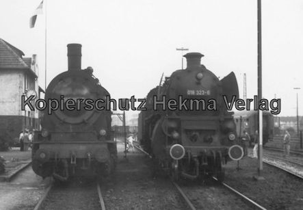 Rheingoldzug von Düsseldorf nach Arnheim - BW Neuß (Rhein) - Lok 055 113-5 und Lok 018 323-6
