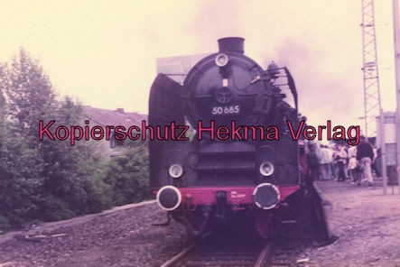 Sonderzug nach Königstein i. T. - Bahnhof Frankfurt-Höchst - Lok 50 685