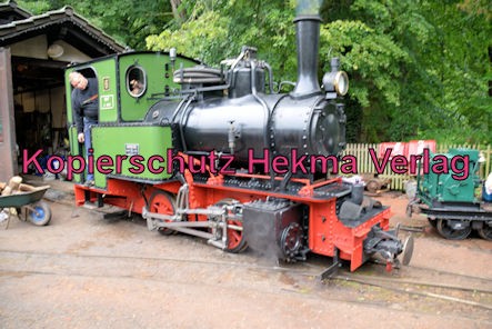 Stumpfwaldbahn Eiswoog Pfalz Eisenbahn - Bahnhof Eiswoog - Feldbahndampflok der Eisenberger Klebsand-Werke GmbH