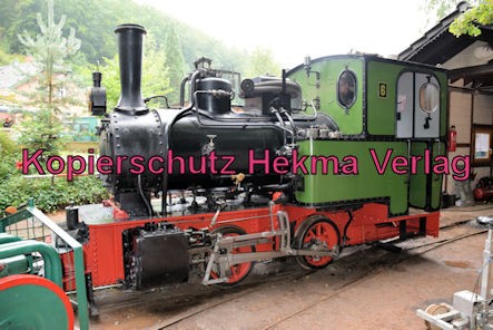 Stumpfwaldbahn Eiswoog Pfalz Eisenbahn - Bahnhof Eiswoog - Feldbahndampflok der Eisenberger Klebsand-Werke GmbH