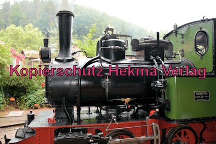 Stumpfwaldbahn Eiswoog Pfalz Eisenbahn - Bahnhof Eiswoog - Feldbahndampflok der Eisenberger Klebsand-Werke GmbH