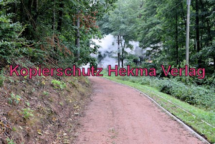 Stumpfwaldbahn Eiswoog Pfalz Eisenbahn - Bahnhof Eiswoog - Auf der Strecke