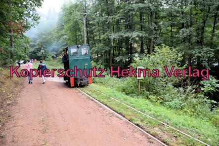 Stumpfwaldbahn Eiswoog Pfalz Eisenbahn - Bahnhof Eiswoog - Auf der Strecke