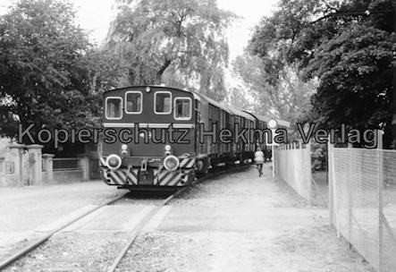 Osthannoversche Eisenbahn A.G. - Bahnhof Celle - Triebwagen