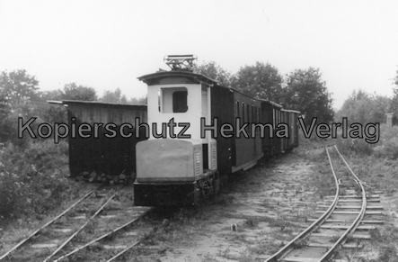 Holm Seppensen - Kleinbahn (Feldbahn) - Verein Deinste - Bahnhof Deinste Klb - Lok mit Wagen