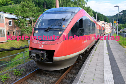 Annweiler-Sarnstall - Bahnhaltepunkt RB 55 Wagen 643 511 Steinweiler