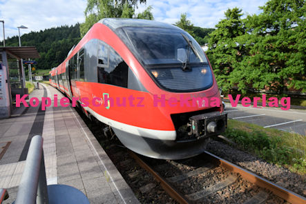 Annweiler-Sarnstall - Bahnhaltepunkt RB 55 Wagen 643 008 Schopp