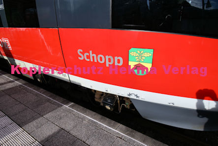 Annweiler-Sarnstall - Bahnhaltepunkt RB 55 Wagen 643 008 Schopp