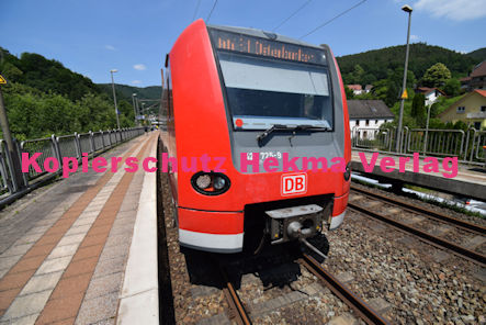 Neidenfels Pfalz Eisenbahn - Bahnhaltepunkt - S 1 Wagen 425 725-9