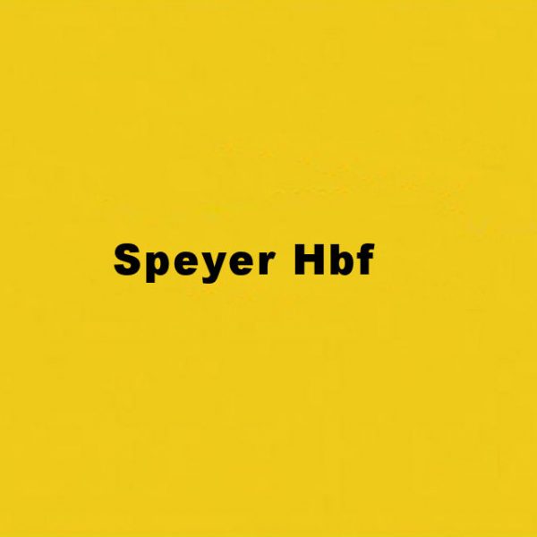 Speyer Hbf