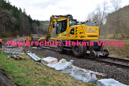 Dahn Eisenbahn - Dahn Bahnübergang BÜ 5,6 - Moosbachtal - Streckensanierung Gleisarbeiten