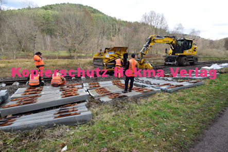 Dahn Eisenbahn - Dahn Bahnübergang BÜ 5,6 - Moosbachtal - Streckensanierung Gleisarbeiten