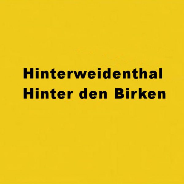 Hinterweidenthal Hinter den Birken