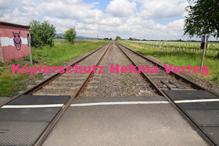 Maikammer Eisenbahn - Maikammer Bahnübergang BÜ 6,9 - Edenkobener Weg