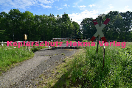 Wörth am Rhein-Kandel - Eisenbahn - Wörth/Kandel Bahnübergang 1212 Bü 8,020 - Im Wald Alte Straße Wörth/Kandel
