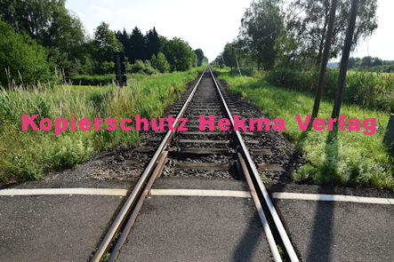 Steinfeld (Pfalz) Eisenbahn - Steinfeld - Bahnübergang Bü km 38,7 Wengelspfad