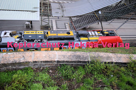 Neustadt (Wstr) Eisenbahn - Bahnhof Neustadt (Hbf) - Fa Stadler Oberleitungs-Hybridfahrzeug (Versuchsfahrzeug im Regelbetrieb) - Lok 6826 008